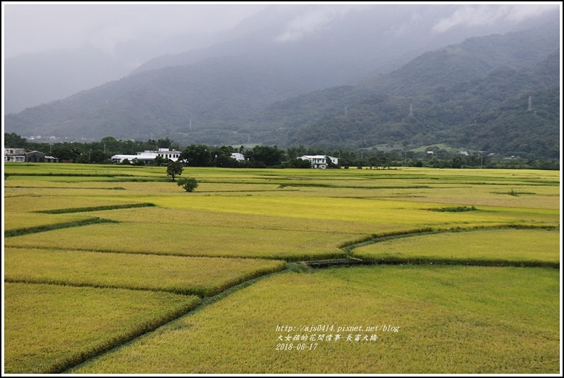 長富大橋(大地色塊)-2018-06-27.jpg