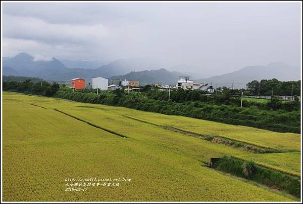 長富大橋(大地色塊)-2018-06-28.jpg