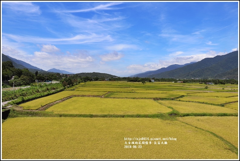 長富大橋(金色大地)-2018-06-29.jpg