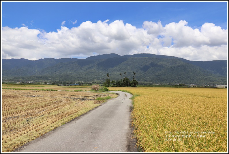 三民路段-2018-06-01.jpg