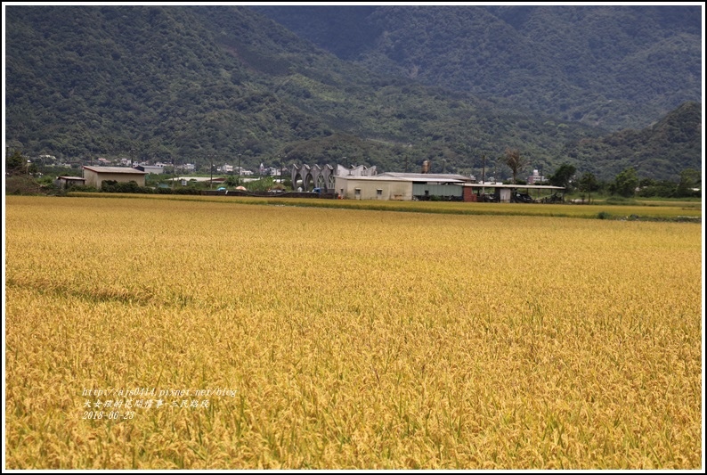 三民路段-2018-06-02.jpg