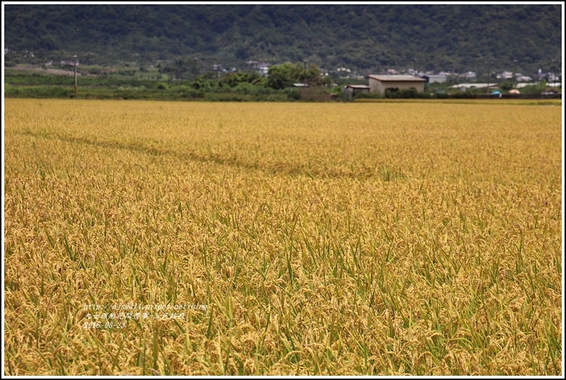 三民路段-2018-06-04.jpg 三民路段-2018-06-04.jpg
