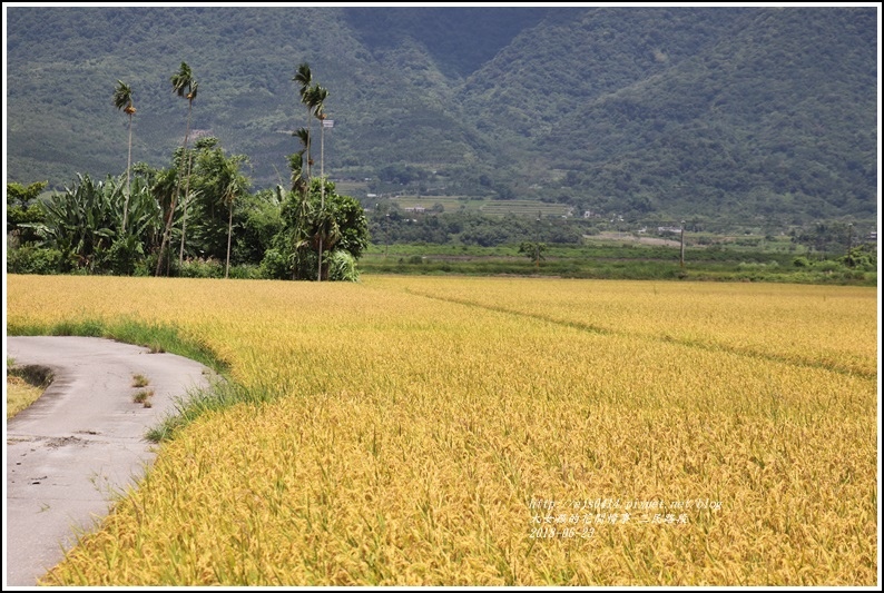 三民路段-2018-06-03.jpg 三民路段-2018-06-03.jpg