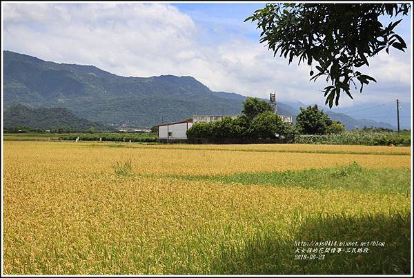 三民路段-2018-06-06.jpg