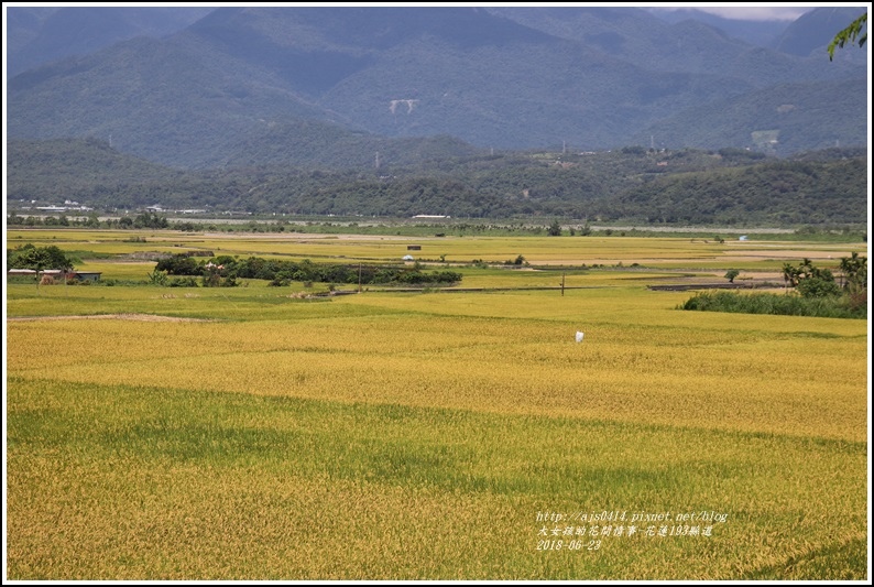 花蓮193縣道-2018-06-01.jpg 花蓮193縣道-2018-06-01.jpg