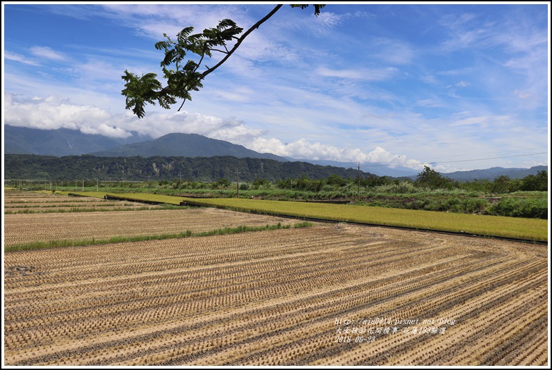 花蓮193縣道-2018-06-02.jpg 花蓮193縣道-2018-06-02.jpg