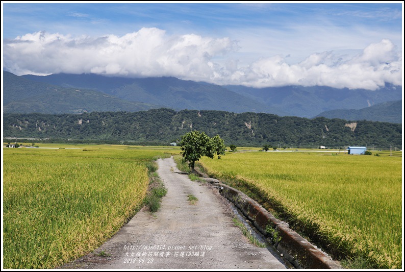 花蓮193縣道-2018-06-05.jpg 花蓮193縣道-2018-06-05.jpg