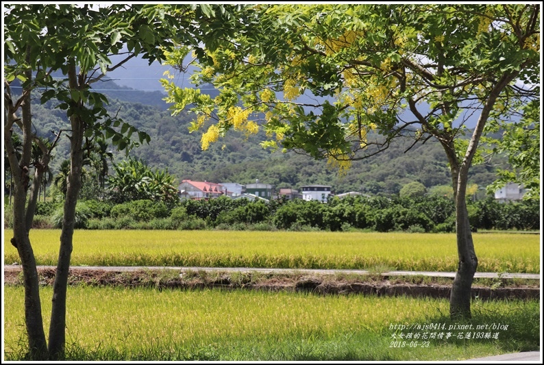 花蓮193縣道-2018-06-04.jpg 花蓮193縣道-2018-06-04.jpg