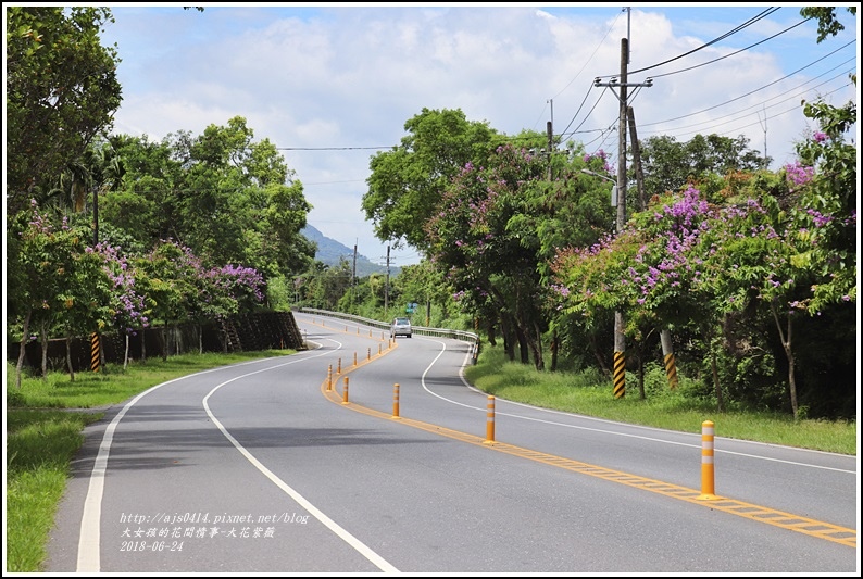 大花紫薇-2018-06-04.jpg 大花紫薇-2018-06-04.jpg