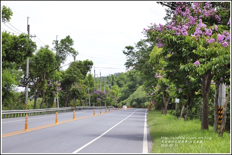大花紫薇-2018-06-05.jpg 大花紫薇-2018-06-05.jpg