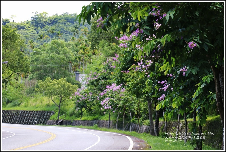 大花紫薇-2018-06-07.jpg 大花紫薇-2018-06-07.jpg