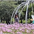 統一清境小瑞士花園-2018-06-11.jpg