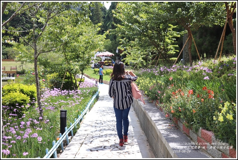 統一清境小瑞士花園-2018-06-25.jpg