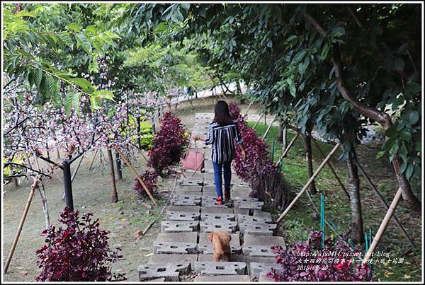 統一清境小瑞士花園-2018-06-38.jpg