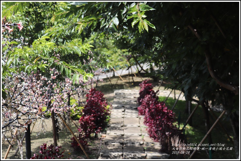 統一清境小瑞士花園-2018-06-39.jpg