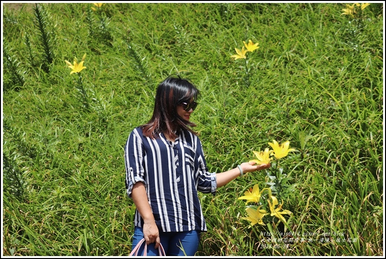 統一清境小瑞士花園-2018-06-40.jpg 統一清境小瑞士花園-2018-06-40.jpg