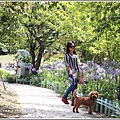 統一清境小瑞士花園-2018-06-43.jpg