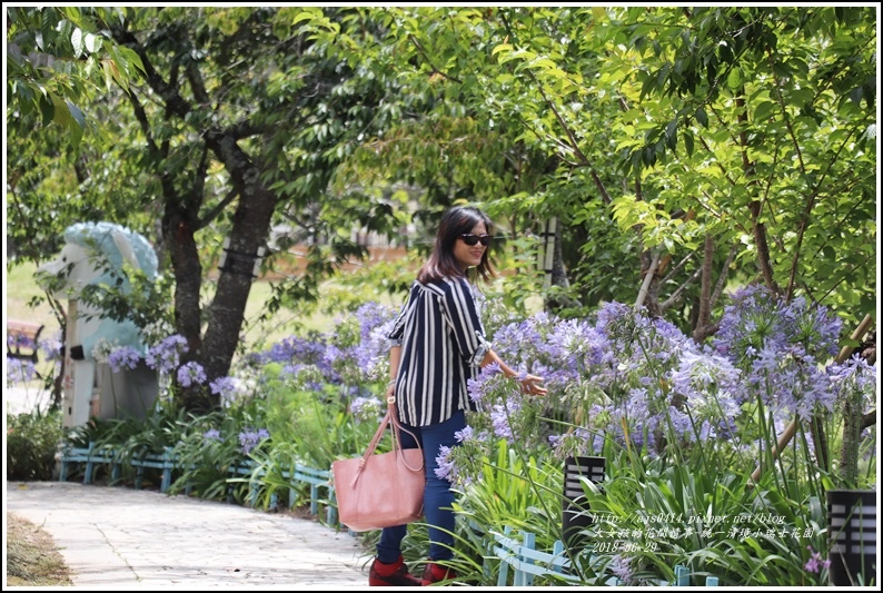 統一清境小瑞士花園-2018-06-44.jpg 統一清境小瑞士花園-2018-06-44.jpg