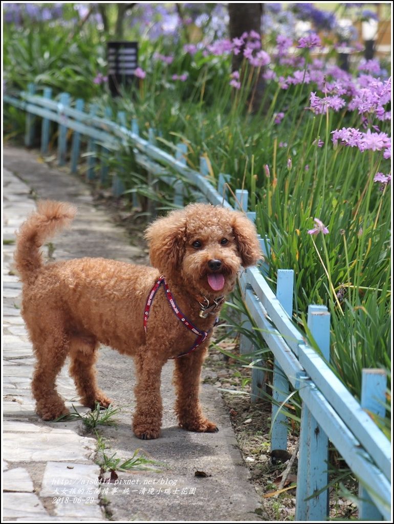 統一清境小瑞士花園-2018-06-46.jpg