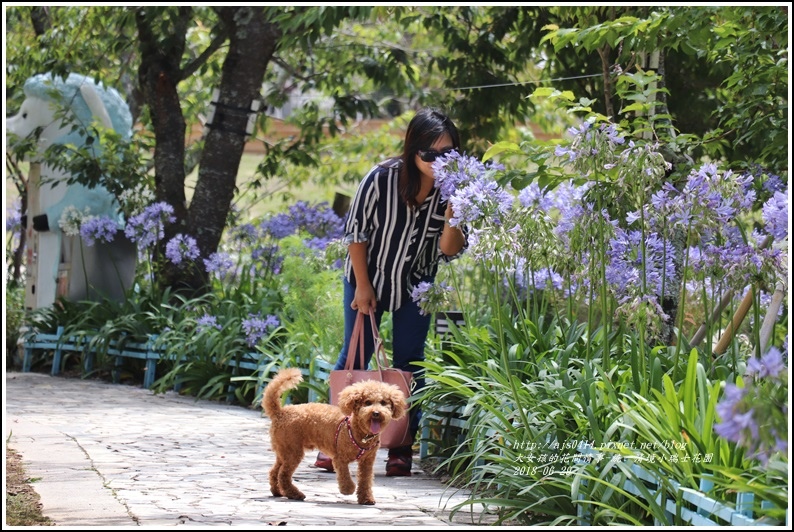 統一清境小瑞士花園-2018-06-48.jpg 統一清境小瑞士花園-2018-06-48.jpg