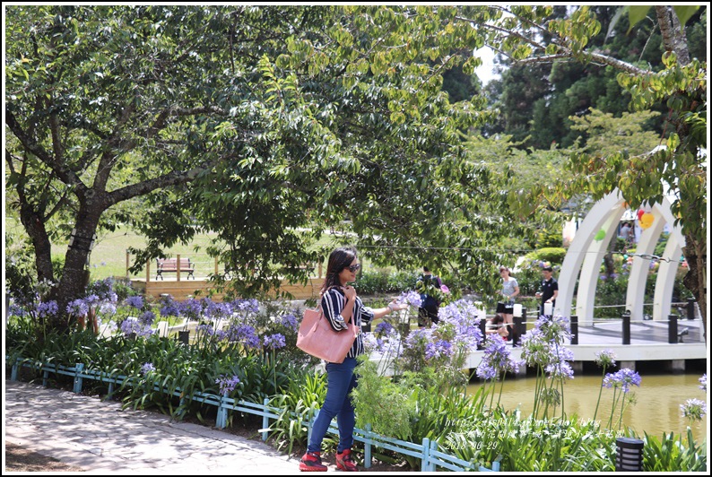 統一清境小瑞士花園-2018-06-49.jpg