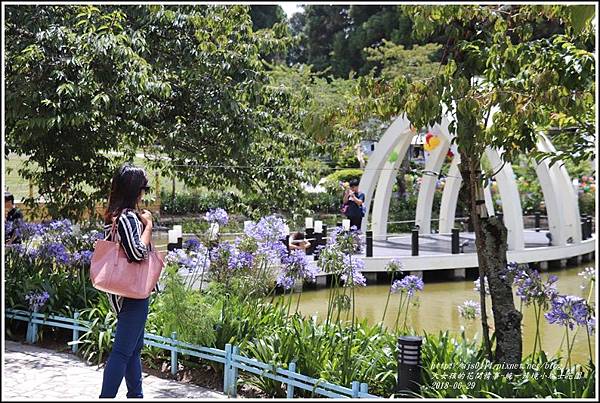 統一清境小瑞士花園-2018-06-51.jpg