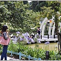統一清境小瑞士花園-2018-06-51.jpg