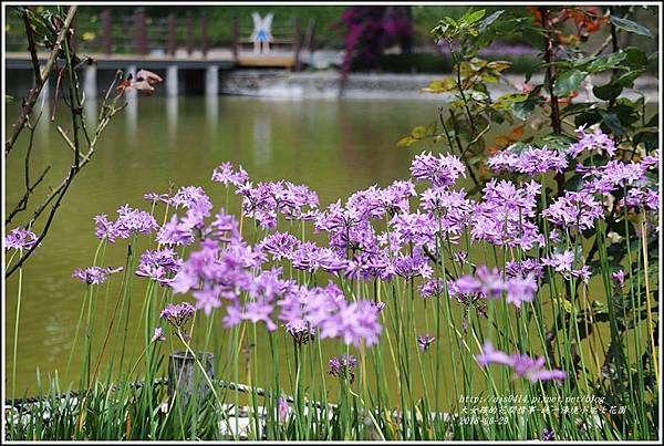 統一清境小瑞士花園-2018-06-73.jpg