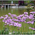統一清境小瑞士花園-2018-06-73.jpg