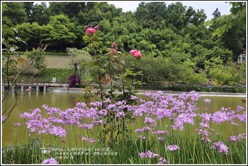 統一清境小瑞士花園-2018-06-74.jpg