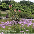 統一清境小瑞士花園-2018-06-74.jpg