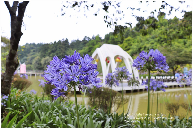 統一清境小瑞士花園-2018-06-81.jpg