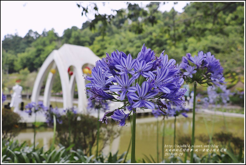 統一清境小瑞士花園-2018-06-80.jpg