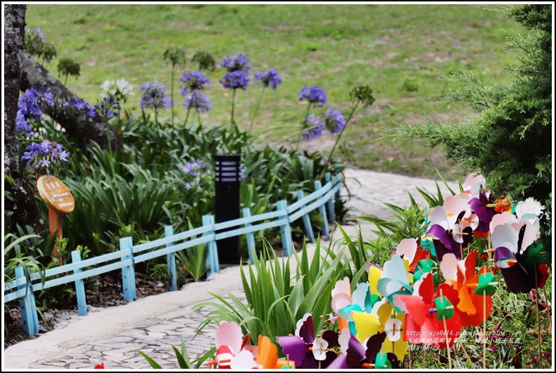 統一清境小瑞士花園-2018-06-82.jpg 統一清境小瑞士花園-2018-06-82.jpg