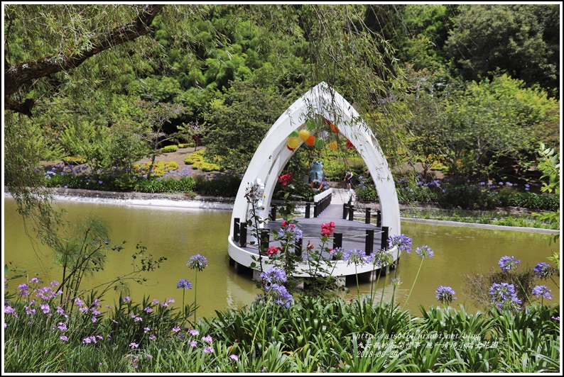 統一清境小瑞士花園-2018-06-84.jpg 統一清境小瑞士花園-2018-06-84.jpg