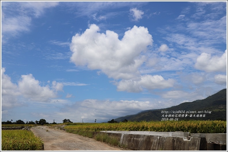 崙天部落-2018-06-09.jpg