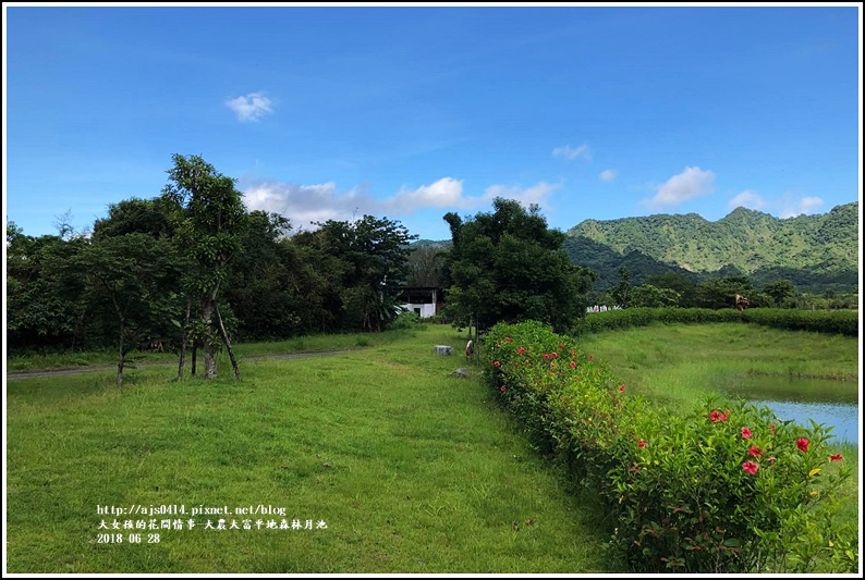 大農大富平地森林月池-2017-06-01.jpg