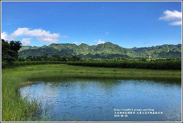 大農大富平地森林月池-2017-06-03.jpg