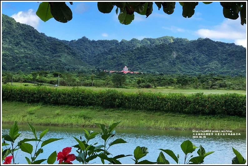 大農大富平地森林月池-2017-06-06.jpg