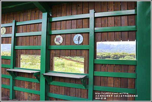 大農大富平地森林南環道-2018-07-06.jpg