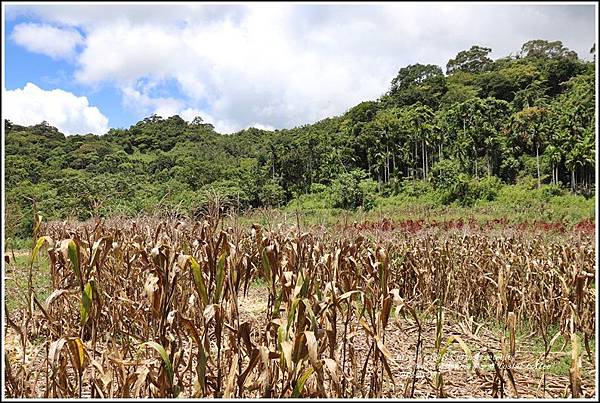 海岸咖啡Costal coffee-2018-07-17.jpg