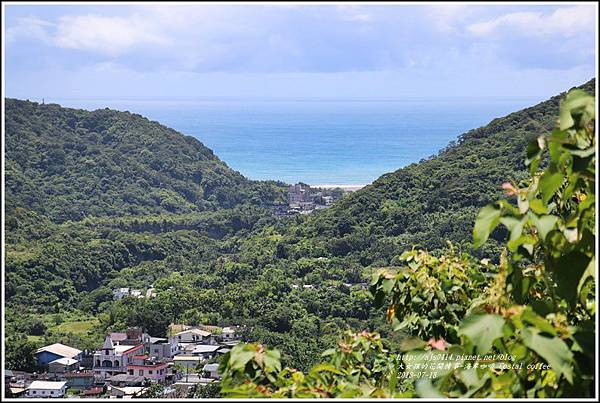 海岸咖啡Costal coffee-2018-07-32.jpg