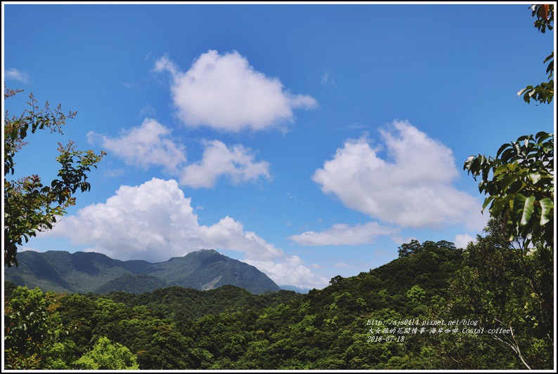 海岸咖啡Costal coffee-2018-07-34.jpg