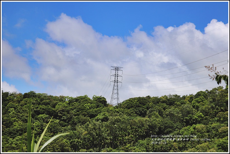 海岸咖啡Costal coffee-2018-07-35.jpg