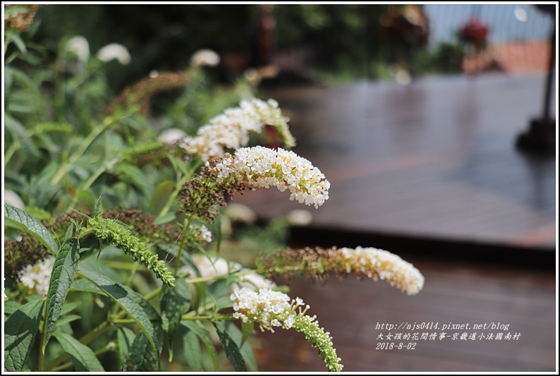 京畿道小法國村-2018-08-52.jpg