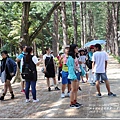 江原道春川市南怡島-2018-08-13.jpg