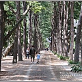 江原道春川市南怡島-2018-08-16.jpg