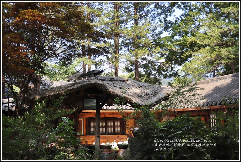 江原道春川市南怡島-2018-08-23.jpg