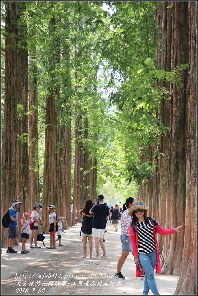 江原道春川市南怡島-2018-08-26.jpg