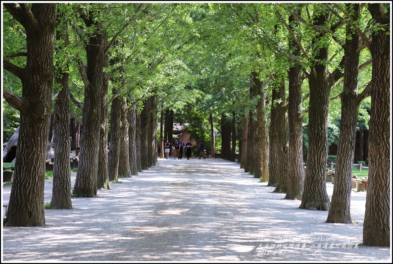 江原道春川市南怡島-2018-08-45.jpg